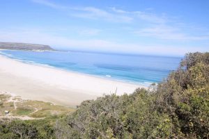 Read more about the article Another Attack on Noordhoek Beach